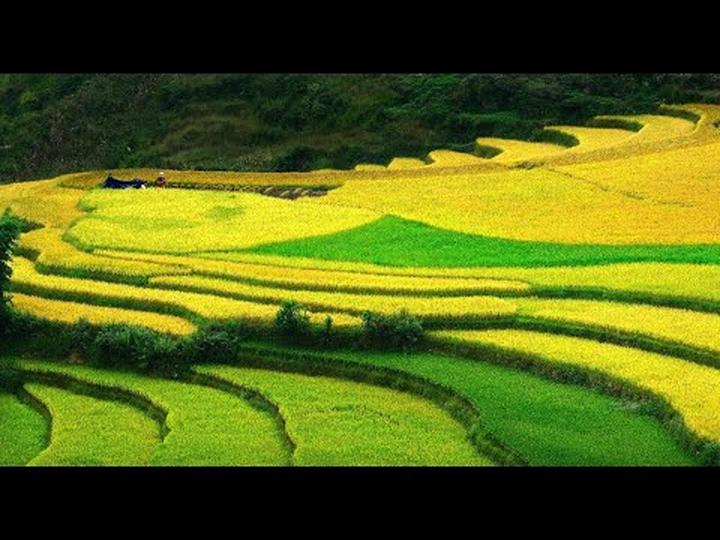 Hotspot Matrix: Đòn bẩy thành công cho doanh nghiệp video ngắn của bạn