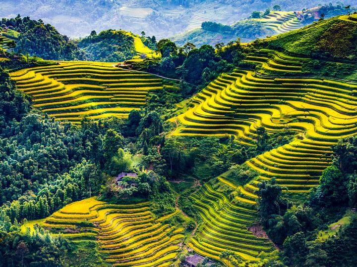 Hotspot Matrix: Giải pháp quản lý video ngắn toàn diện vượt trội?