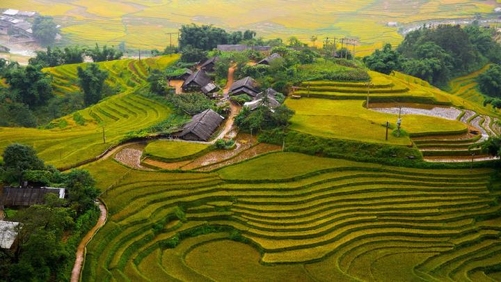 Xu hướng Con gái 