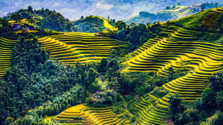 Chấm điểm loạt “green flags” - Cảm hứng video marketing từ Hotspot Matrix